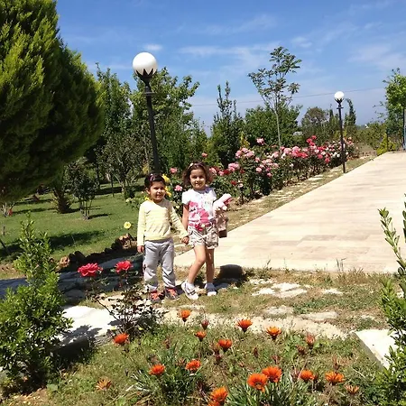 Melodi Club 3* Давутлар