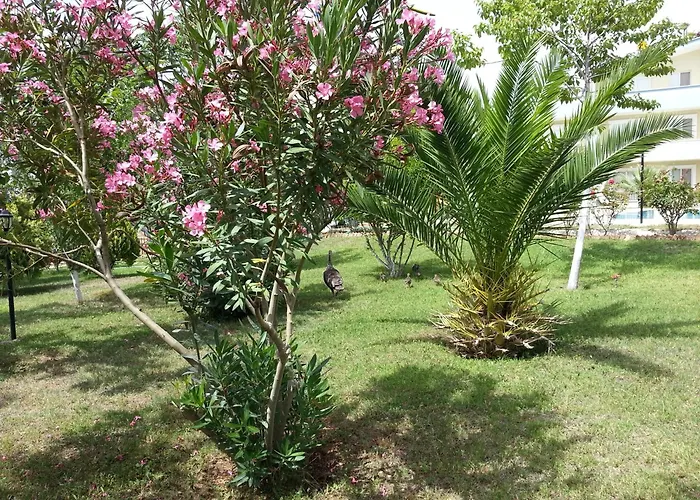 Hotel apartamentowy Melodi Club 3*