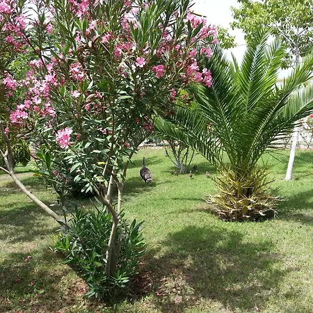 شقة فندقية Melodi Club 3*