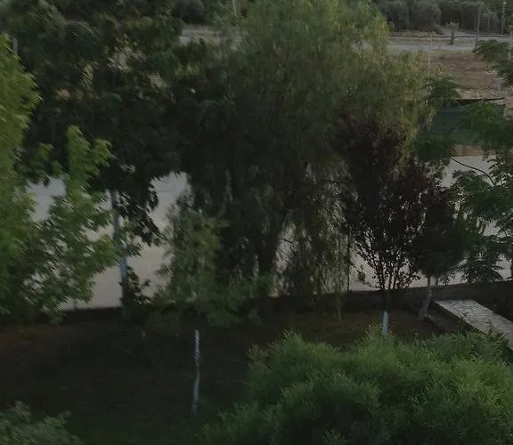 Melodi Club 3* דבוטלאר